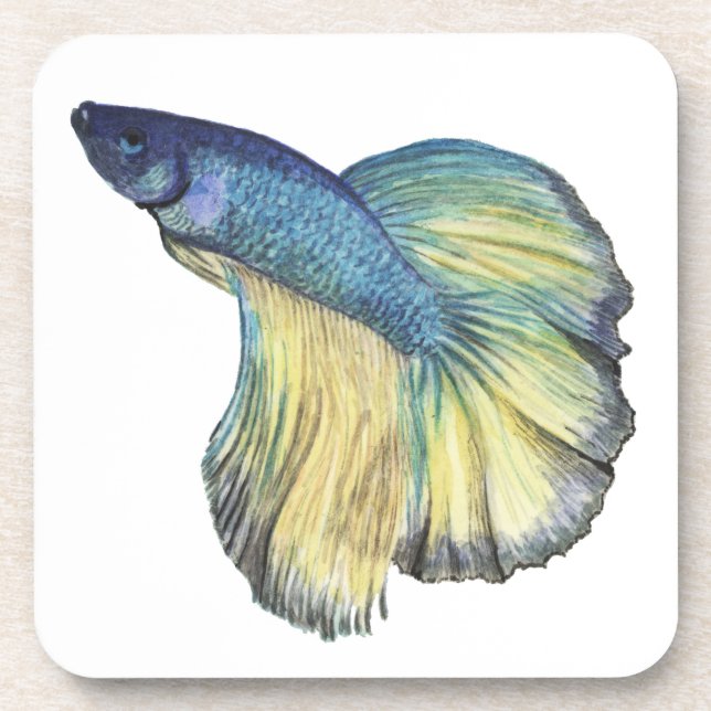 Porta-copo Betta Fish (Frente)
