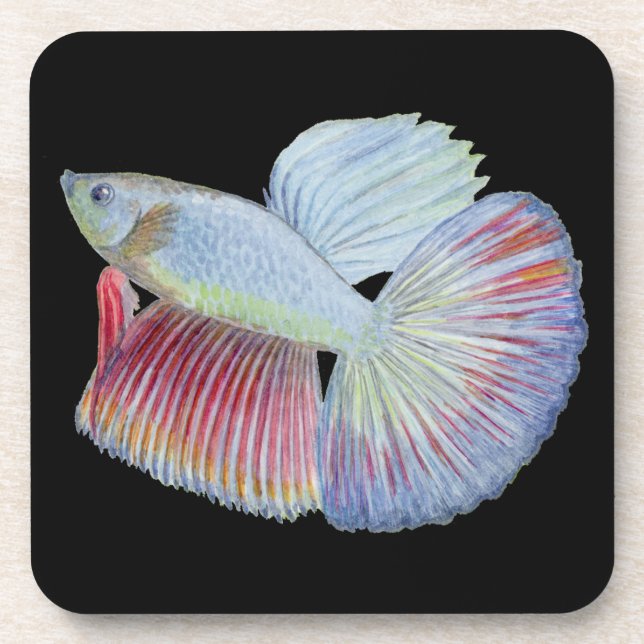 Porta-copo Betta Fish Bepra Coaster (Frente)