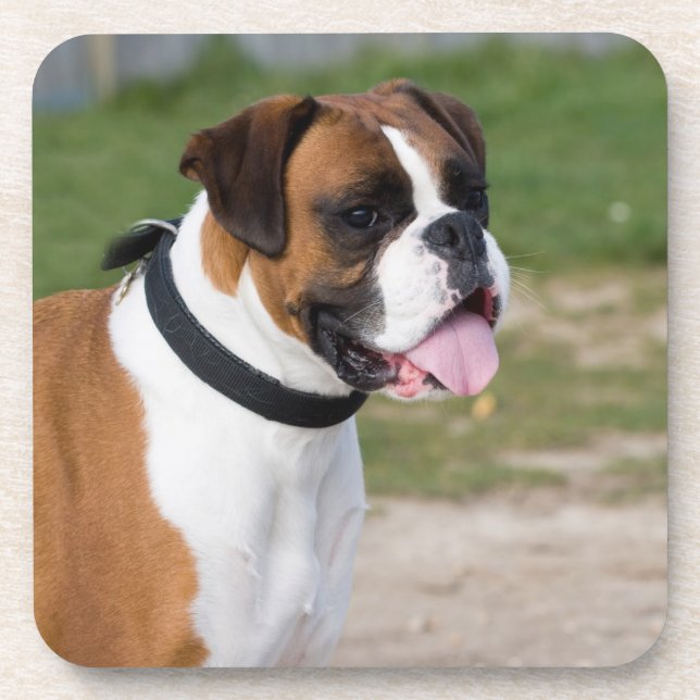 Porta-copo Bibelines de Cão Boxer em Plástico Rígido (Frente)