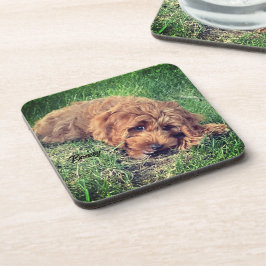 Porta-copo Bibelinho de Bebida Cute Golden Doodle