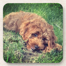 Bibelinho de Bebida Cute Golden Doodle
