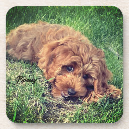Porta-copo Bibelinho de Bebida Cute Golden Doodle