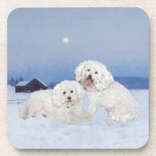 Porta-copo Bichon Frise Noite de Dezembro