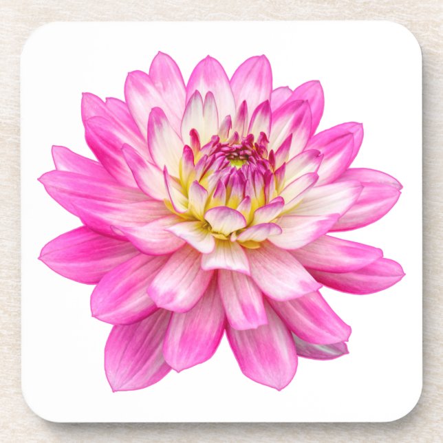 Porta-copo Big Pink Dahlia (Frente)