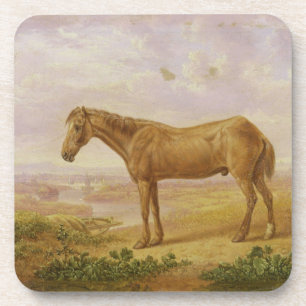 Porta-copo Billy idoso, um cavalo de esboço, envelhecido 62