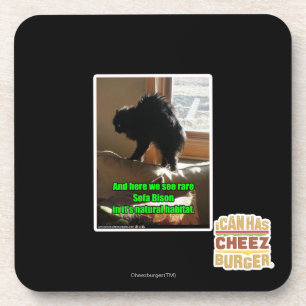 Porta-copo Bisonte do sofá