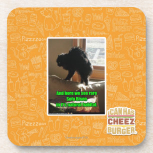 Porta-copo Bisonte do sofá