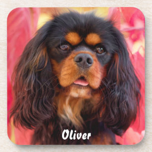 Porta-copo Black and Tan Cavalier King Charles Spaniel Dog
