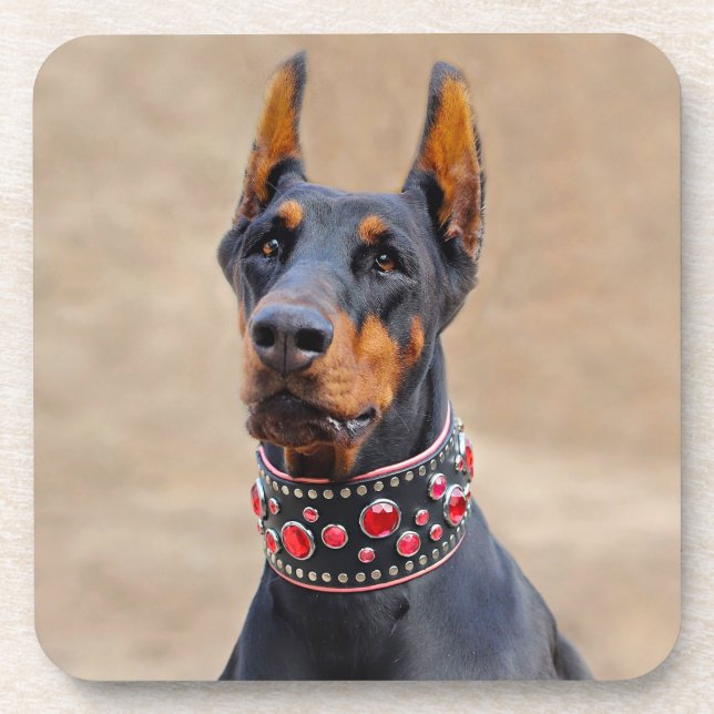 Porta-copo Black and Tan Doberman Pinscher (Pinscher preto e  (Frente)