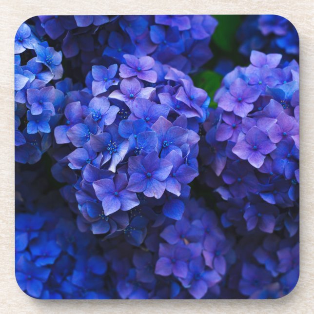 Porta-copo blue flowers (Frente)