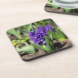 Porta-copo Blue Geocinth em primavera