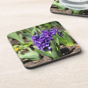 Porta-copo Blue Geocinth em primavera