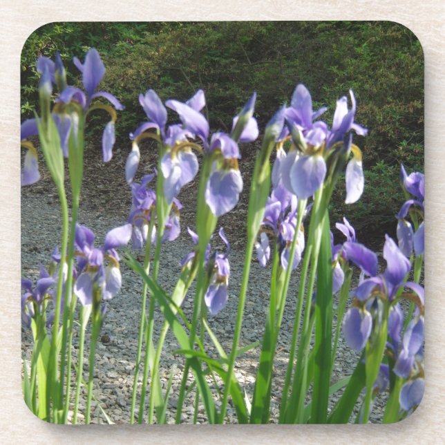 Porta-copo Blue Iris (Frente)