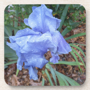 Porta-copo Blue Iris