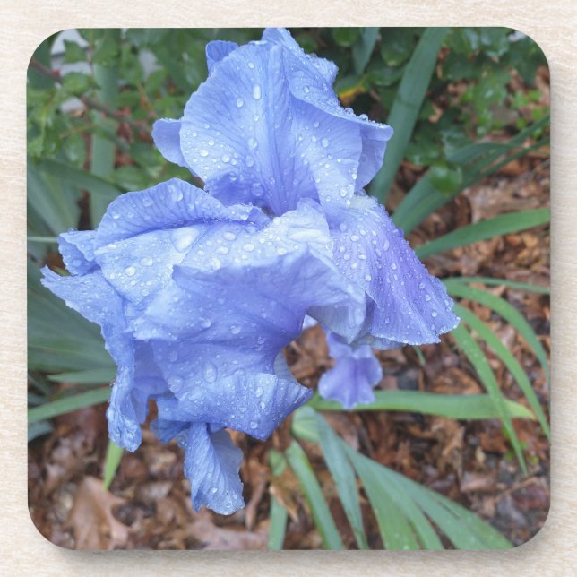 Porta-copo Blue Iris (Frente)