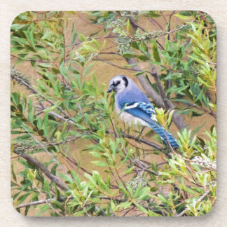 Porta-copo Blue Jay sobre Myrtle da Cera do Sul