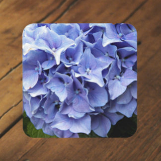 Porta-copo Blue Mophead Hydrangea Floral