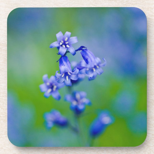 Porta-copo Bluebells flor Coaster (Frente)