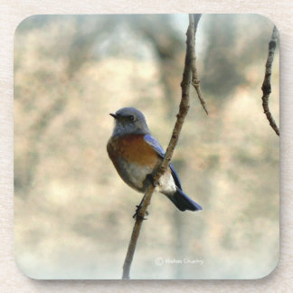 Porta-copo Bluebird de portas copos da felicidade