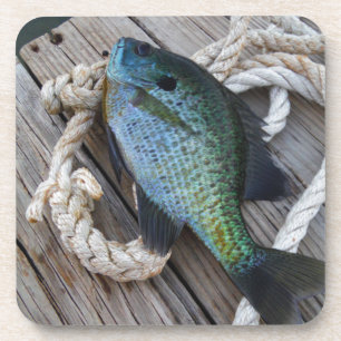 Porta-copo bluegill no doca