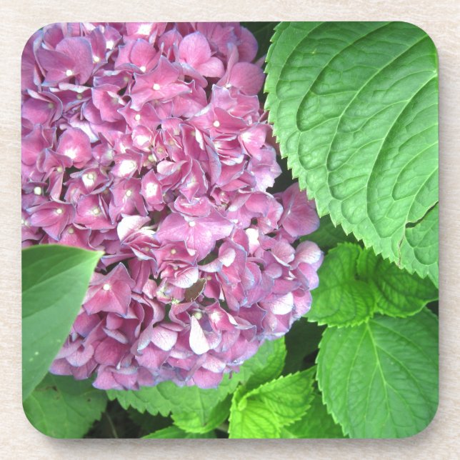 Porta-copo Bola de Neve (Frente)