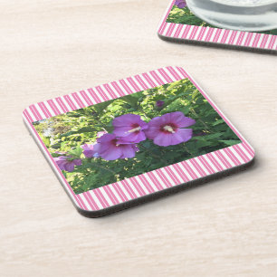 Porta-copo Bonito rosa rosa rosa das Portas copos tiradas com