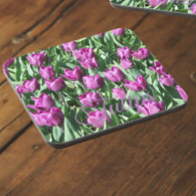 Bonito Tulipas Roxas Floral