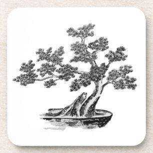Porta-copo Bonsai - Estilo Chinês - preto e branco