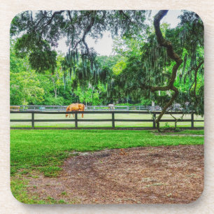 Porta-copo Boone Hall Stables