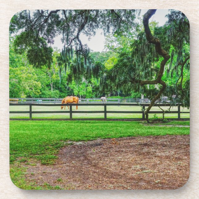 Porta-copo Boone Hall Stables (Frente)