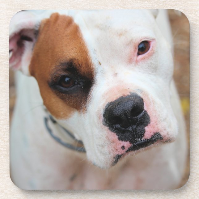 Porta-copo Boop (Frente)