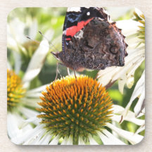 Borboleta Almirante na Flor