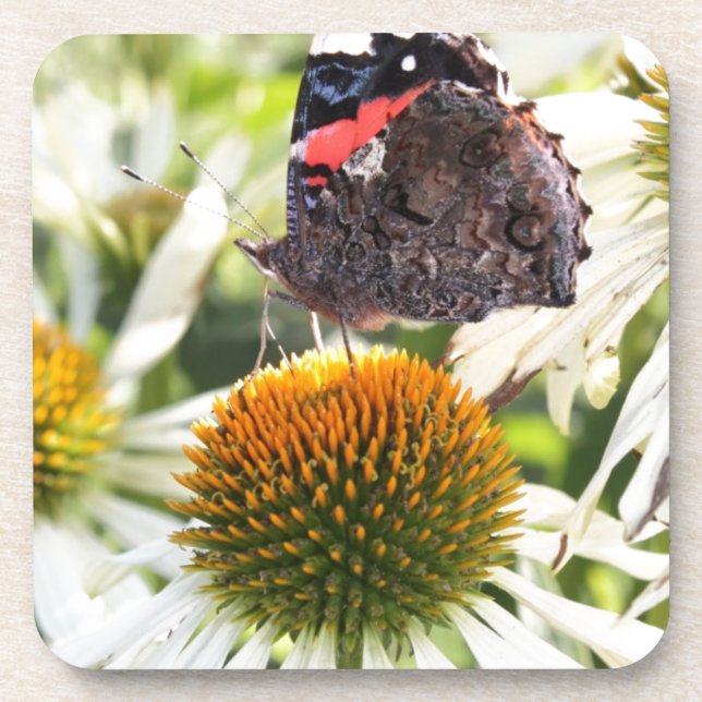 Porta-copo Borboleta Almirante na Flor (Frente)