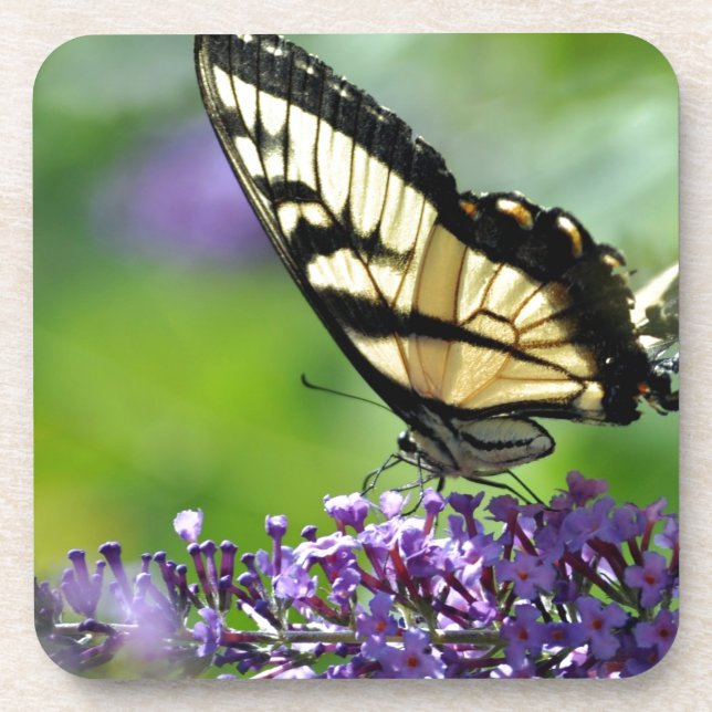 Porta-copo Borboleta Amarela e Preta sobre Lavanda (Frente)