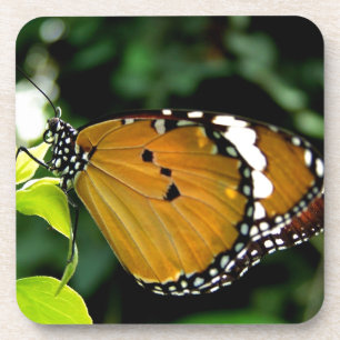 Porta-copo Borboleta branca, cor-de-laranja, preta e branca, 