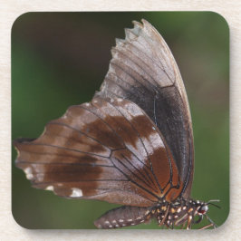 Porta-copo Borboleta branca e marrom em flor vermelha