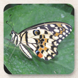 Porta-copo Borboleta branca e preta amarela na folha