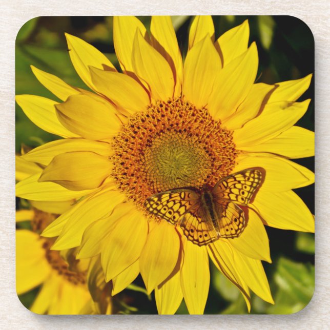 Porta-copo Borboleta de girassol (Frente)
