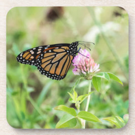 Porta-copo Borboleta de monarca