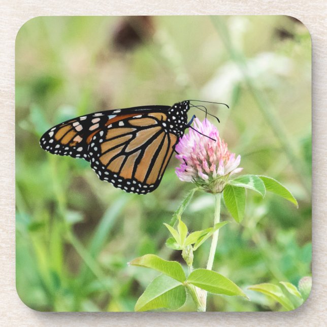Porta-copo Borboleta de monarca (Frente)