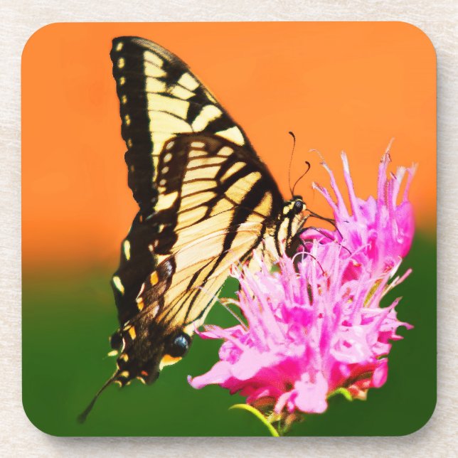 Porta-copo Borboleta do Swallowtail do Tigre Oriental (Frente)