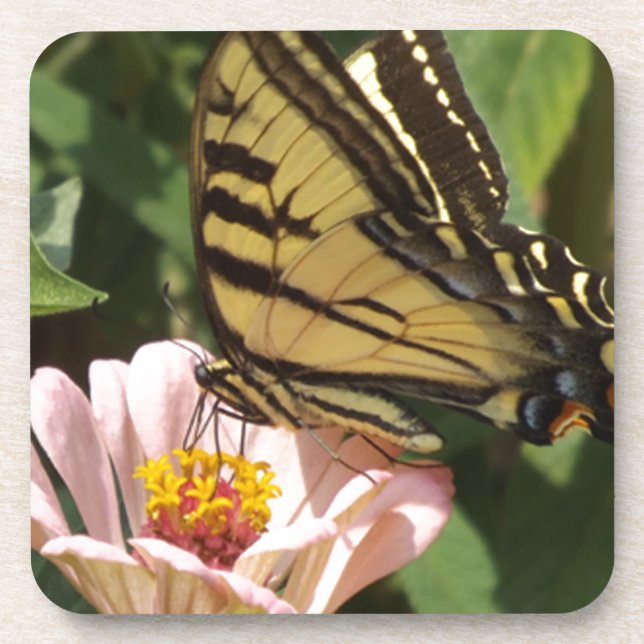 Porta-copo Borboleta e Flor (Frente)