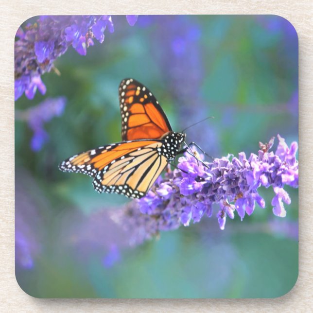 Porta-copo Borboleta Monarca na Flor Lilás Roxo (Frente)