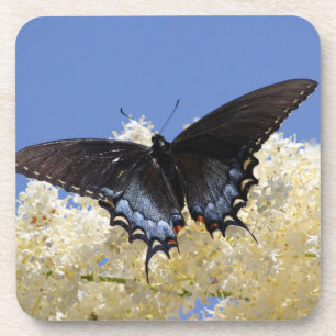 Porta-copo Borboleta nas flores brancas