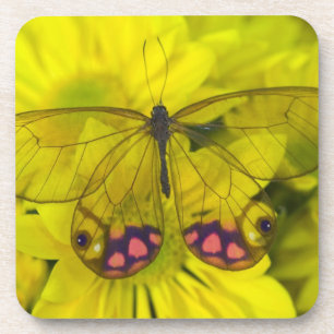 Porta-copo Borboleta no Amarelo