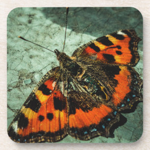 Porta-copo Borboleta Pequena Tartaruga Aniversário Grunge