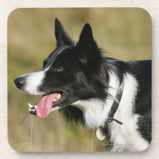 Porta-copo Border collie que arfa o Headshot 2