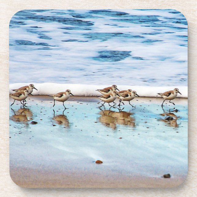 Porta-copo Borrelhos que funcionam ao longo da praia (Frente)