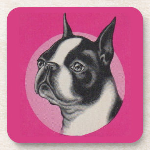 Porta-copo  Boston terrier 