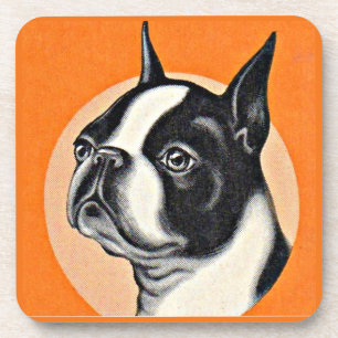 Porta-copo Boston terrier